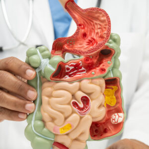 Curso sobre Enfermedades Gastrointestinales. Concepto de microbiota.