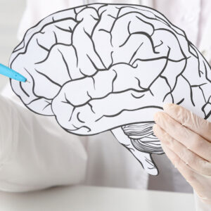 Curso sobre Enfermedades Neurodegenerativas y medicina de estilo de vida.